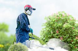 Обработка сада от паразитов - необходимые меры и их регулярность  в Саратове