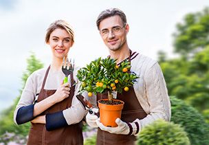 Проект «под ключ» где можно заказать по низкой цене  в Саратове