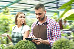 Дендроплан - верное планирование территории и решения этой задачи на уровне  в Саратове