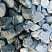 Kamenclub.ru: Щебень галтованный зеленый (змеевик) фр. 50-100 мм.  купить в Саратове галтовка мраморная зеленый, салатовый мрамор 12 500 руб/т   фото КАМЕНЬ КЛУБ