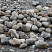 Kamenclub.ru: Речной валун (Ассорти) фр.100-300 мм.  купить в Саратове галечник серый, темно-серый, светло-серый речная галька крупных размеров 4200 руб/т   фото КАМЕНЬ КЛУБ