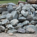 Kamenclub.ru: Гранит скальник (серо-зеленый) фр. 100-500 мм.  купить в Саратове гранит зеленый, серый, салатовый крупный ландшафтный валун 6 000 руб/т   фото КАМЕНЬ КЛУБ