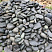 Kamenclub.ru: Темно-серый валунчик фр.100-300 мм.  купить в Саратове крупный природный камень серый, темно-серый, светло-серый речная галька большого размера окатанная 4500 руб/т   фото КАМЕНЬ КЛУБ