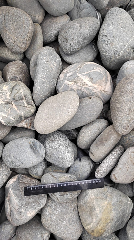 Kamenclub.ru: Галька речная окат (темно-серая) фр. 70-150 мм. купить  в Саратове галька речная темно-серая, синяя, серая речная галька округлая  8000 руб/т   фото КАМЕНЬ КЛУБ