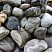 Kamenclub.ru: Речной валун Кабанчик фр.300-500 мм.  купить в Саратове крупный природный камень галька серый, темно-серый речной валун галечник масштабный 7000 руб/т   фото КАМЕНЬ КЛУБ