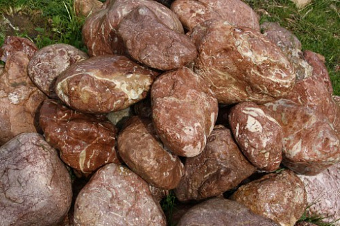 Kamenclub.ru: Розовый валунчик фр.100-300 мм.  купить в Саратове крупный природный камень розовый, серый молочный красный речной галечник природный 7850 руб/т   фото КАМЕНЬ КЛУБ