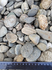 Kamenclub.ru: Галька речная окат (пестрая) фр. 20-40 мм. купить  в Саратове галька речная пестрая, серая, серые оттенки галька речная окатанная округлая 5000 руб/т   фото КАМЕНЬ КЛУБ