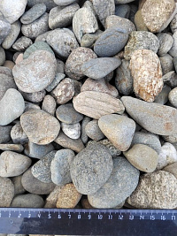 Kamenclub.ru: Галька речная окат (пестрая) фр. 20-40 мм. купить  в Саратове галька речная пестрая, серая, серые оттенки галька речная окатанная округлая 5000 руб/т   фото КАМЕНЬ КЛУБ