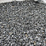 Kamenclub.ru: Щебень крошка черный (мрамор) фр. 10-20 мм.  купить в Саратове мрамор черный с белыми прожилками, черный, белый каменная ландшафтная декоративная крошка щебня 11000 руб/т   фото КАМЕНЬ КЛУБ