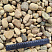 Kamenclub.ru: Галька речная окат рыжая фр. 20-40 мм. купить  в Саратове галька речная окатанная рыжая желтая серая округлая речная галька 5000 руб/т   фото КАМЕНЬ КЛУБ