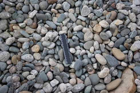 Kamenclub.ru: Галька речная окат (пестрая) фр. 20-40 мм. купить  в Саратове галька речная пестрая, серая, серые оттенки галька речная окатанная округлая 5000 руб/т   фото КАМЕНЬ КЛУБ