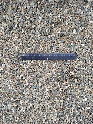 Kamenclub.ru: Галька речная окат (серая) фр.5-10 мм купить  в Саратове галька речная серая, серый, темно-серый, светло-серый, коричневый речная окатанная галька декоративная ландшатфная 5000 руб/т   фото КАМЕНЬ КЛУБ