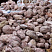 Kamenclub.ru: Розовый валунчик фр.100-300 мм.  купить в Саратове крупный природный камень розовый, серый молочный красный речной галечник природный 7850 руб/т   фото КАМЕНЬ КЛУБ