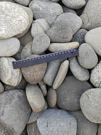 Kamenclub.ru: Галька речная плоская (серо-белая) фр. 70-120 мм. купить в Саратове галька галечник речной серый, белый окатанная плоская  природная галька 9000 руб/т   фото КАМЕНЬ КЛУБ