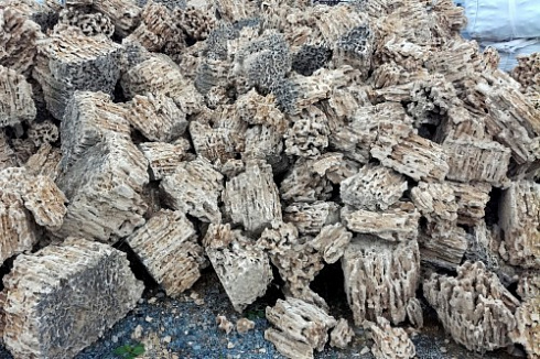 Kamenclub.ru: Крымский природный меотис фр. 100-500 мм.  купить в Саратове меотис бежевый рыжий молочный желтый ракушечник 4 500 руб/т   фото КАМЕНЬ КЛУБ