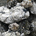Kamenclub.ru: Черный гранит - кварцит фр. 100-500 мм.  купить в Саратове мрамор гранит черный с белыми прожилками, серый, белый валун скальный колотый 7000 руб/т   фото КАМЕНЬ КЛУБ