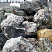 Kamenclub.ru: Черный гранит - кварцит фр. 500-1000 мм.  купить в Саратове гранит кварцит черный серый белый скальный колотый валун 9750 руб/т   фото КАМЕНЬ КЛУБ