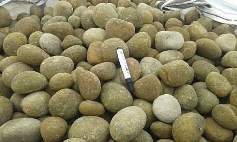 Kamenclub.ru: Песчаник ядра, фр. 100-300 мм  купить в Саратове песчаник бежевый серый рыжий речная галька 5 000 руб/т   фото КАМЕНЬ КЛУБ