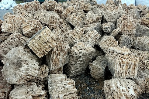 Kamenclub.ru: Крымский природный меотис фр. 100-500 мм.  купить в Саратове меотис бежевый рыжий молочный желтый ракушечник 4 500 руб/т   фото КАМЕНЬ КЛУБ