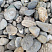 Kamenclub.ru: Галька речная окат (пестрая) фр. 20-40 мм. купить  в Саратове галька речная пестрая, серая, серые оттенки галька речная окатанная округлая 5000 руб/т   фото КАМЕНЬ КЛУБ