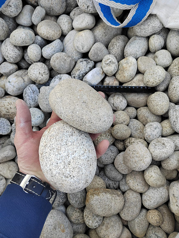 Kamenclub.ru: Галька речная окат (серо-белая) фр. 70-120 мм купить  в Саратове галька галечник бело-серая, серо-белая, серая, белая речная природная галька  8000 руб/т   фото КАМЕНЬ КЛУБ