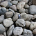 Kamenclub.ru: Темно-серый валунчик фр.100-300 мм.  купить в Саратове крупный природный камень серый, темно-серый, светло-серый речная галька большого размера окатанная 4500 руб/т   фото КАМЕНЬ КЛУБ