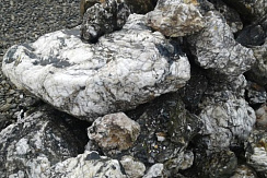 Kamenclub.ru: Черный гранит - кварцит фр. 500-1000 мм.  купить в Саратове гранит кварцит черный серый белый скальный колотый валун 9750 руб/т   фото КАМЕНЬ КЛУБ