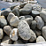 Kamenclub.ru: Речной валун (Ассорти) фр.100-300 мм.  купить в Саратове галечник серый, темно-серый, светло-серый речная галька крупных размеров 4200 руб/т   фото КАМЕНЬ КЛУБ