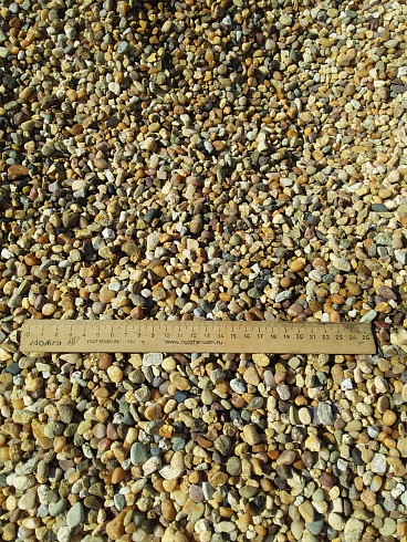 Kamenclub.ru: Галька окат (серо-желтая) фр.5-10 мм. купить  в Саратове галька речная рыжий, желтый, рыжий, серо-желтый речная окатанная галька декоративная 5000 руб/т   фото КАМЕНЬ КЛУБ