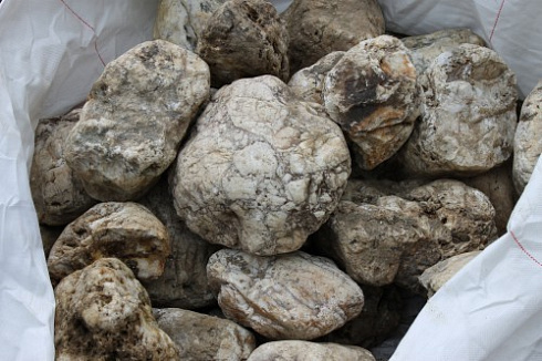 Kamenclub.ru: Кварцевый валунчик фр.100-300 мм.  купить в Саратове кварц белый, бежевый молочный рыжий крупный природный камень галечник 7850 руб/т   фото КАМЕНЬ КЛУБ