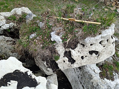 Kamenclub.ru: Выветренный известняк (степной) фр. 500-1500 мм.  купить в Саратове    10000 руб/т   фото КАМЕНЬ КЛУБ