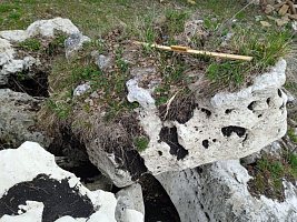 Kamenclub.ru: Выветренный известняк (степной) фр. 500-1500 мм.  купить в Саратове    10000 руб/т   фото КАМЕНЬ КЛУБ