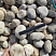Kamenclub.ru: Галька речная окат (серо-белая) фр. 70-120 мм купить  в Саратове галька галечник бело-серая, серо-белая, серая, белая речная природная галька  8000 руб/т   фото КАМЕНЬ КЛУБ