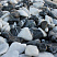 Kamenclub.ru: Мраморная крошка (щебень галтованный микс:: белый-черный) фр.20-40 мм  купить в Саратове мрамор белый, черный мраморный галтованный щебень 15500 руб/т   фото КАМЕНЬ КЛУБ
