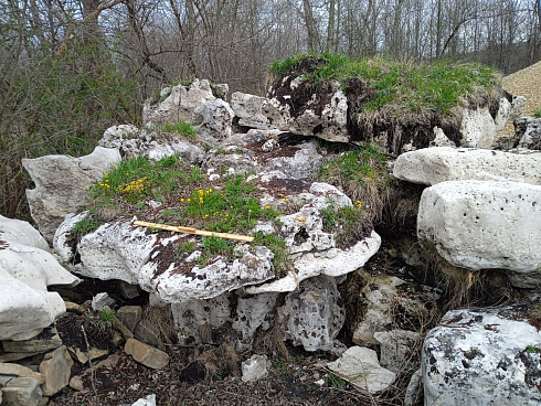 Kamenclub.ru: Выветренный известняк со мхом фр. 100-500 мм.  купить в Саратове известняк серый белый зеленый валун известняковый крупный 10000 руб/т   фото КАМЕНЬ КЛУБ