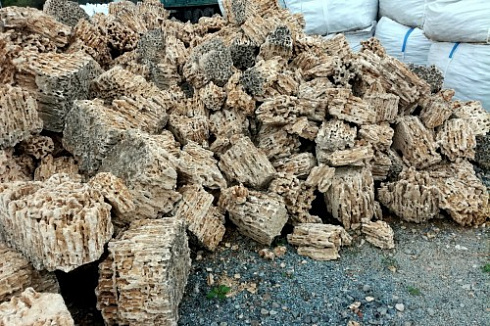 Kamenclub.ru: Крымский природный меотис фр. 100-500 мм.  купить в Саратове меотис бежевый рыжий молочный желтый ракушечник 4 500 руб/т   фото КАМЕНЬ КЛУБ