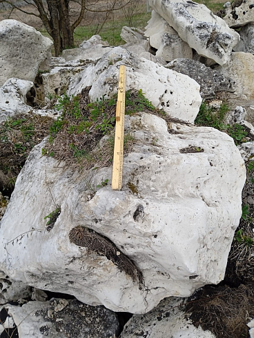 Kamenclub.ru: Выветренный известняк со мхом фр. 100-500 мм.  купить в Саратове известняк серый белый зеленый валун известняковый крупный 10000 руб/т   фото КАМЕНЬ КЛУБ