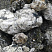 Kamenclub.ru: Черный гранит - кварцит фр. 100-500 мм.  купить в Саратове мрамор гранит черный с белыми прожилками, серый, белый валун скальный колотый 7000 руб/т   фото КАМЕНЬ КЛУБ