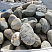 Kamenclub.ru: Речной валун (Ассорти) фр.100-300 мм.  купить в Саратове галечник серый, темно-серый, светло-серый речная галька крупных размеров 4200 руб/т   фото КАМЕНЬ КЛУБ