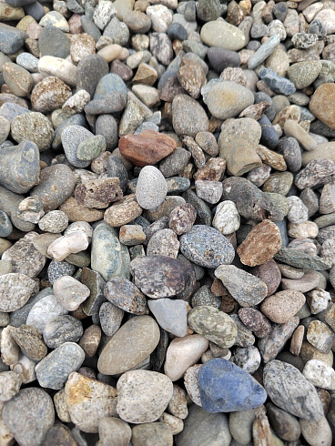 Kamenclub.ru: Галька речная окат (серая) фр.10-20 мм купить  в Саратове галька речная серая, серый, темно-серый, светло-серый, коричневый ландшафтная декоративная речная окатанная округлая галька 5000 руб/т   фото КАМЕНЬ КЛУБ