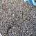 Kamenclub.ru: Галька речная окат (серая) фр.3-5 мм купить  в Саратове галька речная серая бежевый темно-серый окатанный речной камень округлый 9500 руб/т   фото КАМЕНЬ КЛУБ