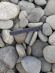 Kamenclub.ru: Галька речная плоская (ассорти) фр. 70-150 мм. купить в Саратове галька галечник серый белый темно-серый синий светло-серый плоская природная галька  9000 руб/т   фото КАМЕНЬ КЛУБ