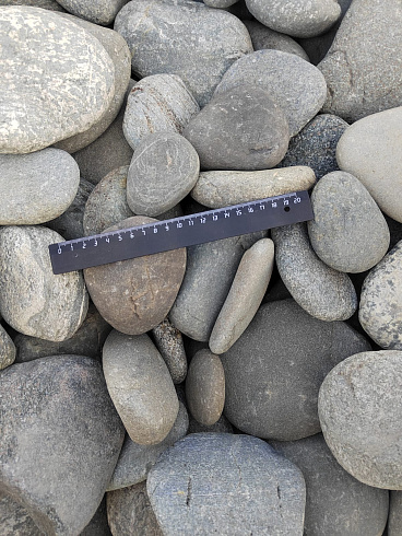 Kamenclub.ru: Галька речная плоская (серо-белая) фр. 70-120 мм. купить  в Саратове галька галечник речной серый, белый окатанная плоская  природная галька 9000 руб/т   фото КАМЕНЬ КЛУБ