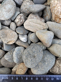 Kamenclub.ru: Галька речная окат (серая) фр.40-60 мм купить  в Саратове галька речная серый бежевый рыжий коричневый округлый речной камень 5000 руб/т   фото КАМЕНЬ КЛУБ