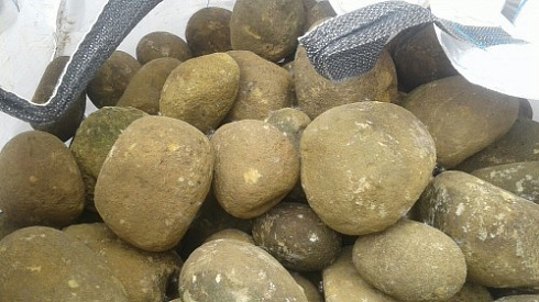 Kamenclub.ru: Песчаник ядра, фр. 100-300 мм  купить в Саратове песчаник бежевый серый рыжий речная галька 5 000 руб/т   фото КАМЕНЬ КЛУБ