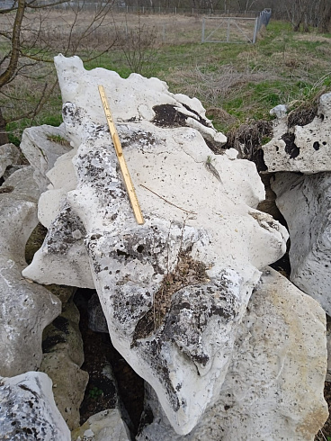 Kamenclub.ru: Выветренный известняк со мхом фр. 100-500 мм.  купить в Саратове известняк серый белый зеленый валун известняковый крупный 10000 руб/т   фото КАМЕНЬ КЛУБ