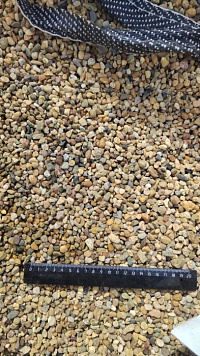 Kamenclub.ru: Галька окат (серо-желтая) фр.5-10 мм. купить  в Саратове галька речная рыжий, желтый, рыжий, серо-желтый речная окатанная галька декоративная 5000 руб/т   фото КАМЕНЬ КЛУБ