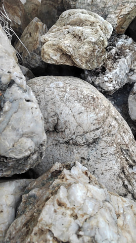 Kamenclub.ru: Кварцевый валунчик фр.100-300 мм.  купить в Саратове кварц белый, бежевый молочный рыжий крупный природный камень галечник 7850 руб/т   фото КАМЕНЬ КЛУБ