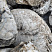Kamenclub.ru: Кварцевый валунчик фр.100-300 мм.  купить в Саратове кварц белый, бежевый молочный рыжий крупный природный камень галечник 7850 руб/т   фото КАМЕНЬ КЛУБ
