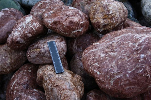 Kamenclub.ru: Розовый валунчик фр.100-300 мм.  купить в Саратове крупный природный камень розовый, серый молочный красный речной галечник природный 7850 руб/т   фото КАМЕНЬ КЛУБ